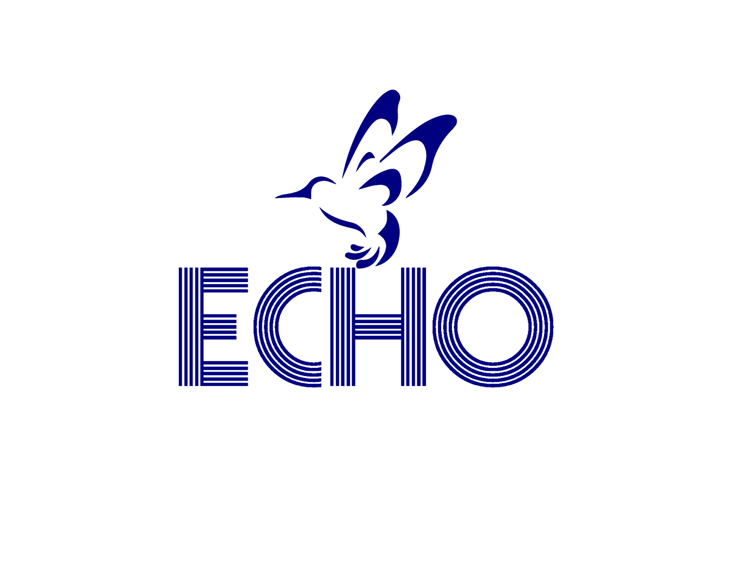 An Echo Gift Card